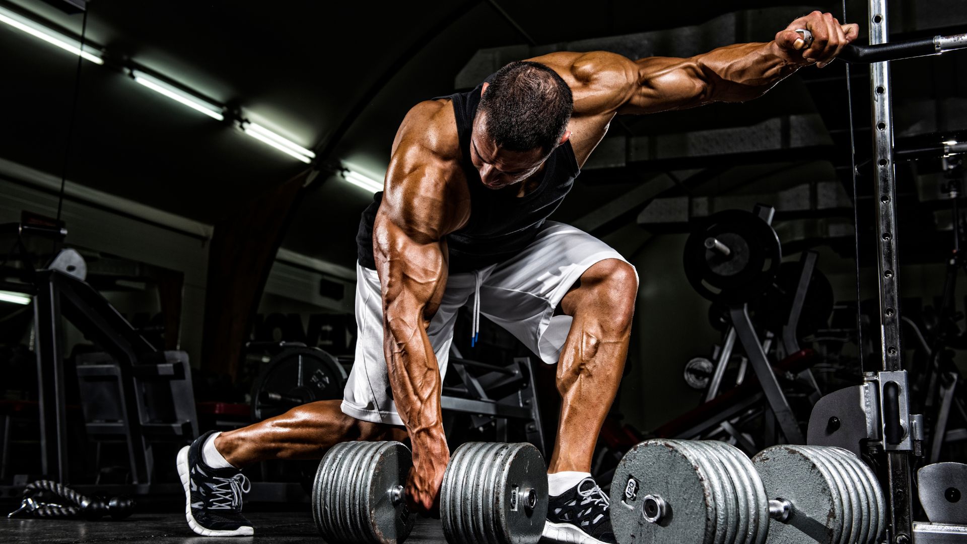 Conditioning Coach sample profile
